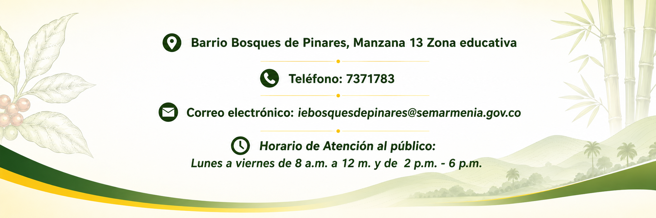 Datos de contacto de la Institución Educativa Bosques de Pinares